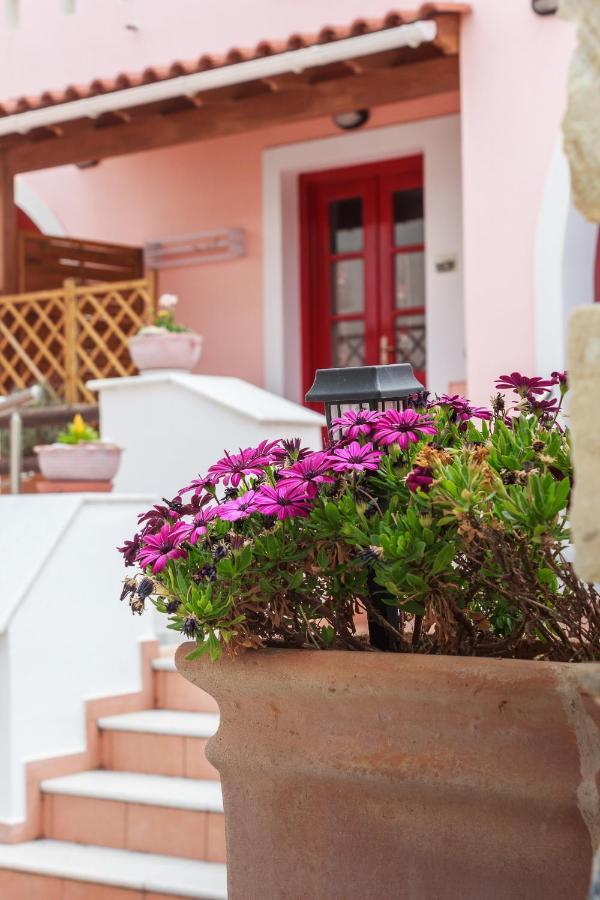 Chalki Apartments - Naxos Khalkíon エクステリア 写真