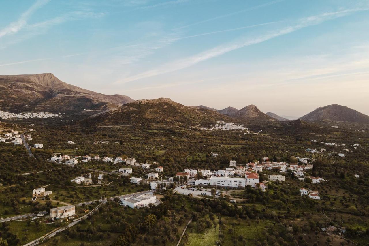 Chalki Apartments - Naxos Khalkíon エクステリア 写真